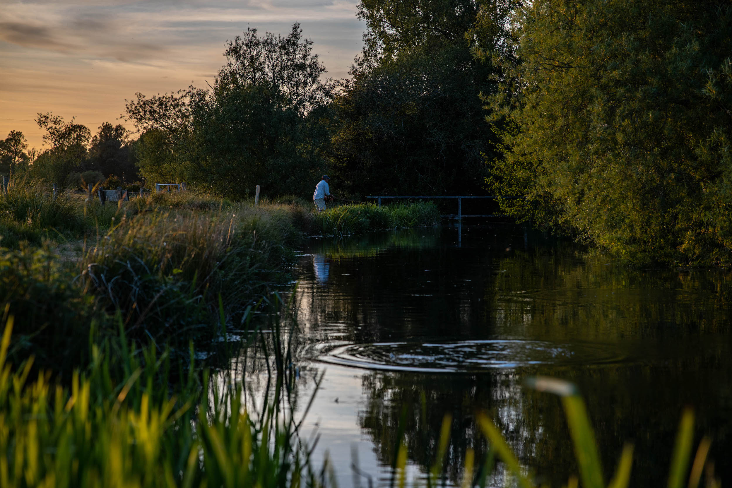 Fisherman