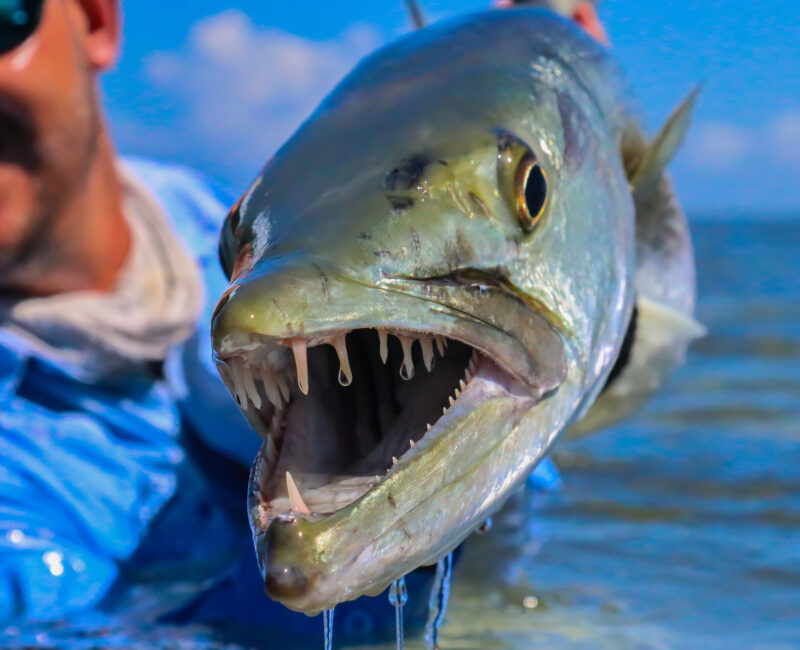 Fisherman