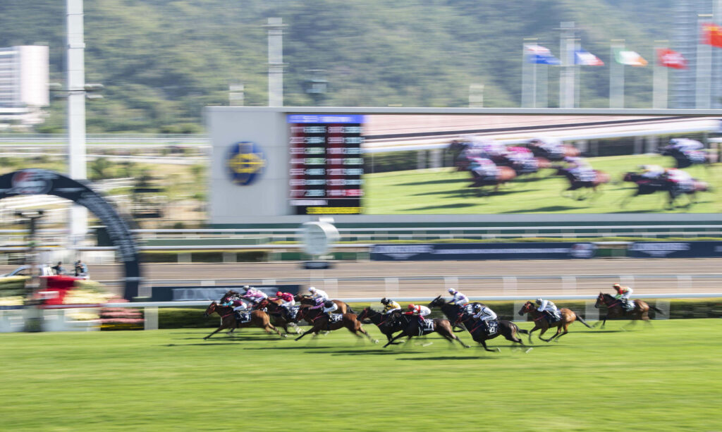 Horse Racing
