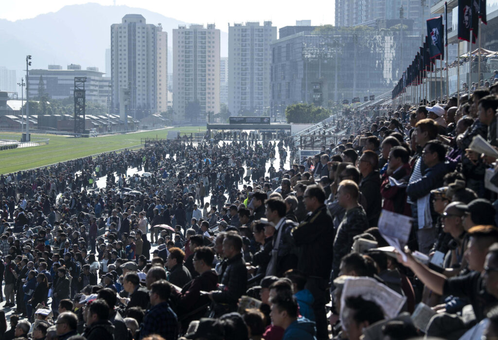 Horse Racing