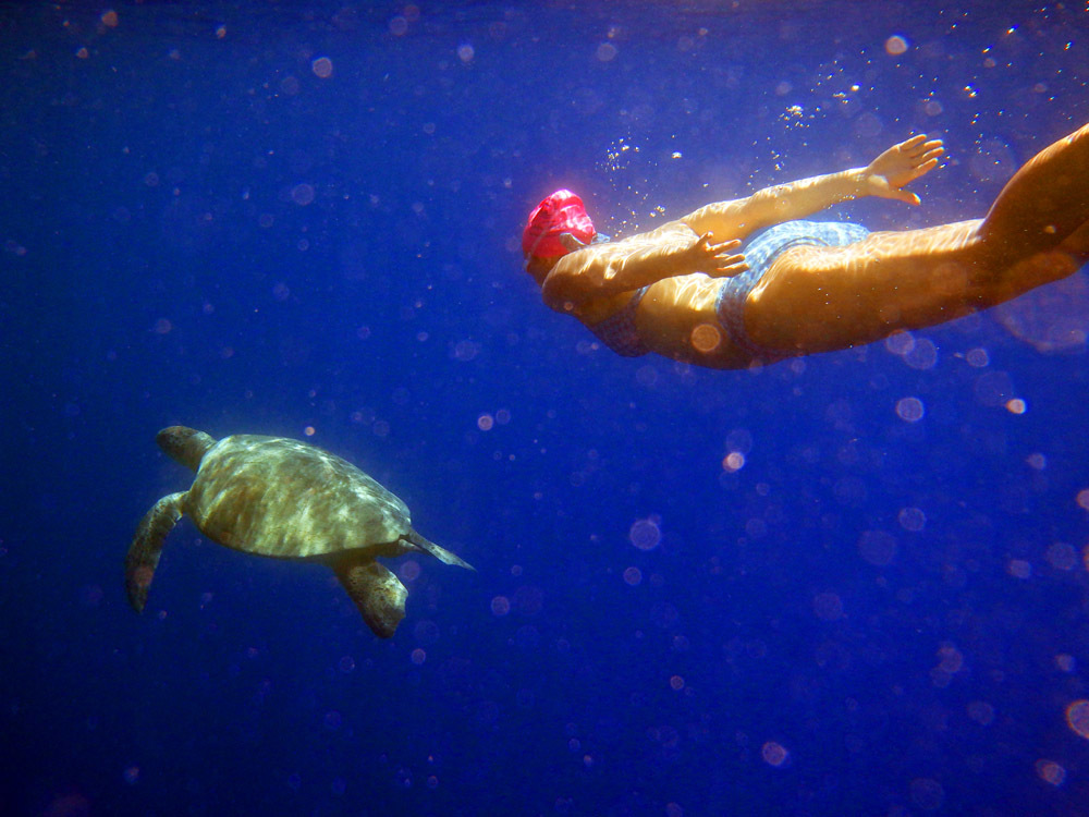 Open Water