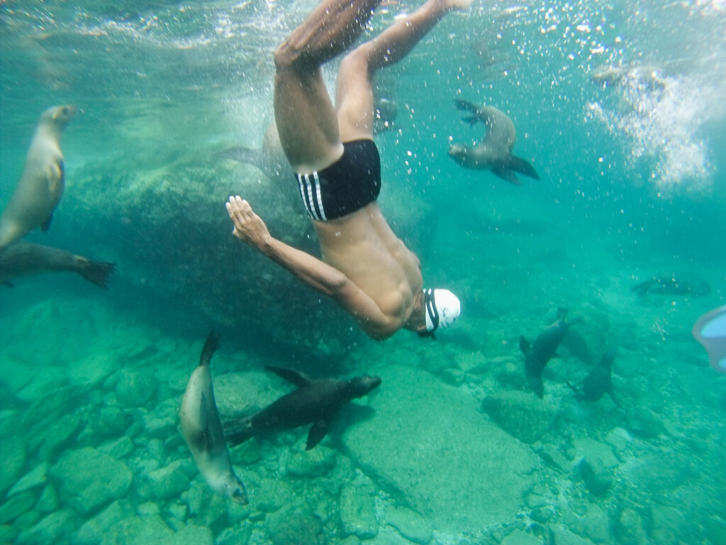 Open Water