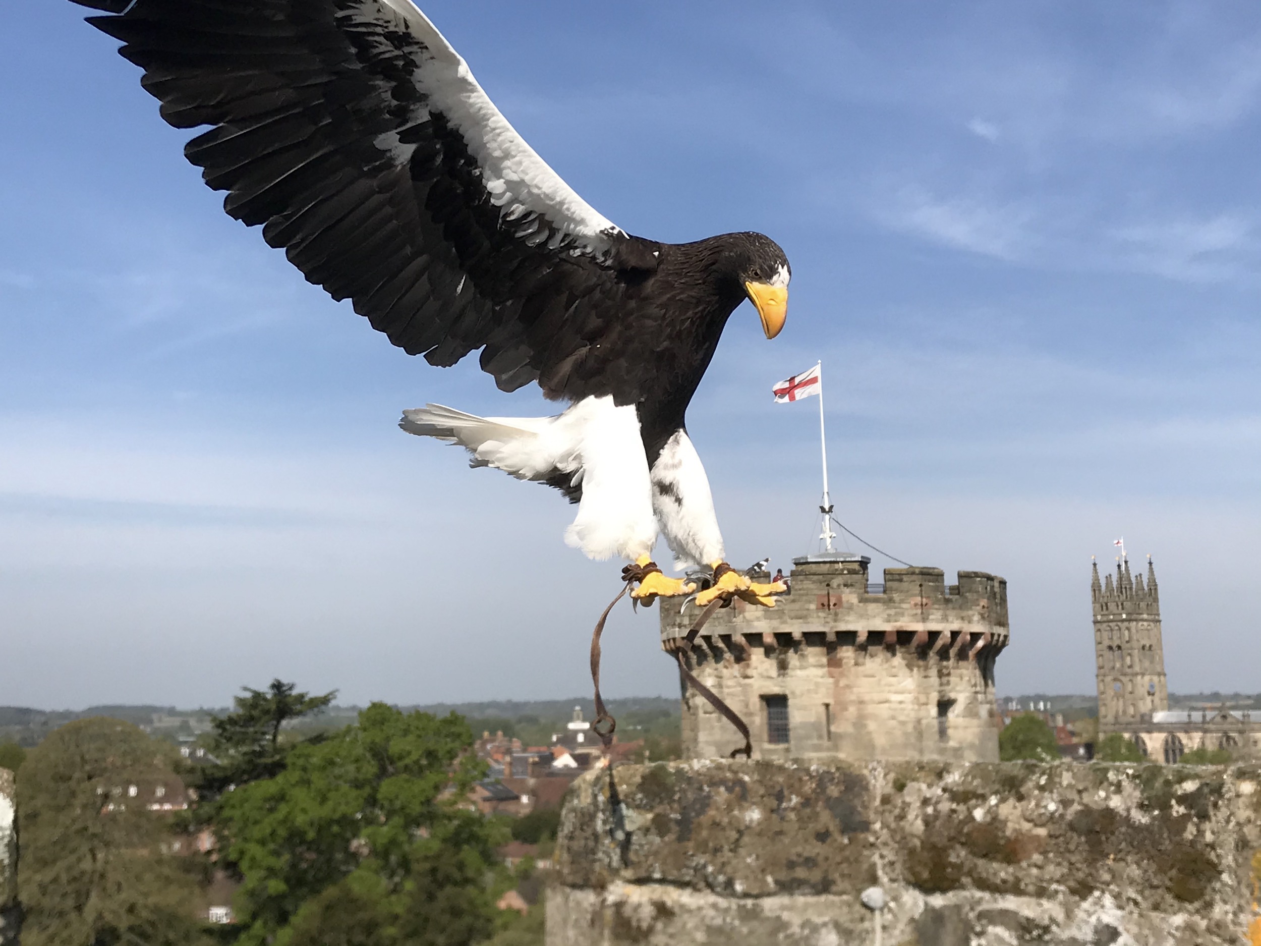 Warwick Castle