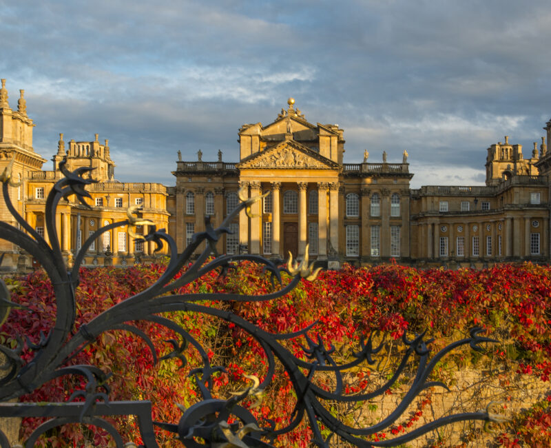 Blenheim