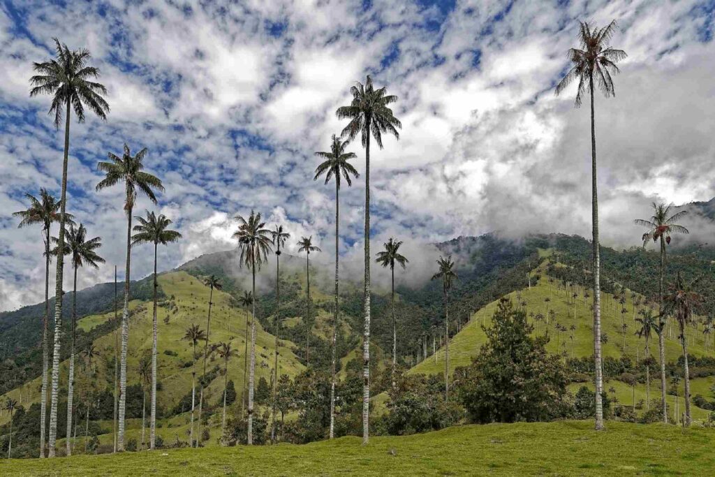 Colombia