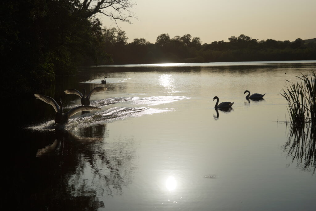Marston Park