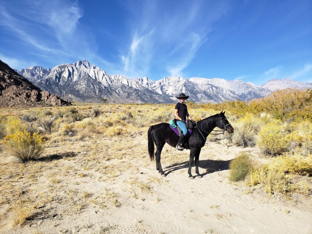 Horse Nomad