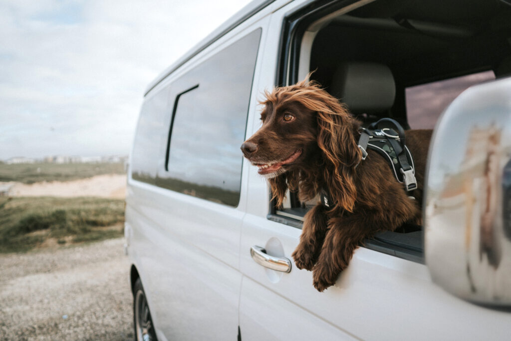 Van Life
