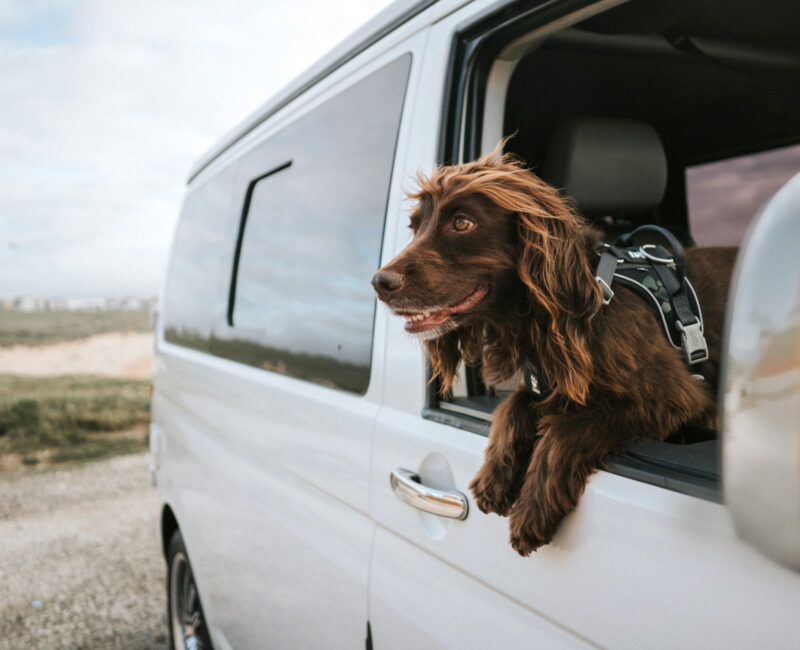 Van Life