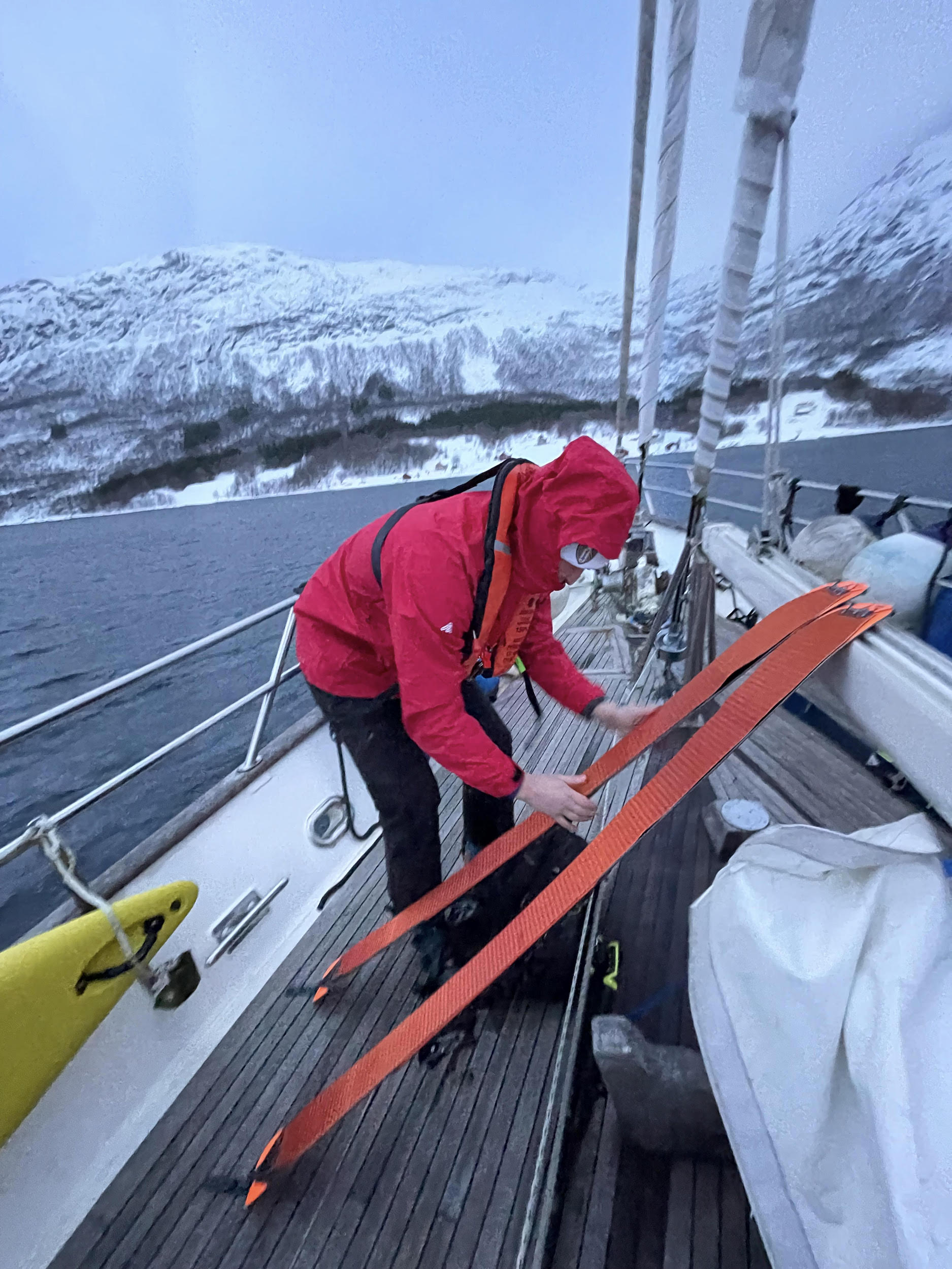 Fjord to Snowfield