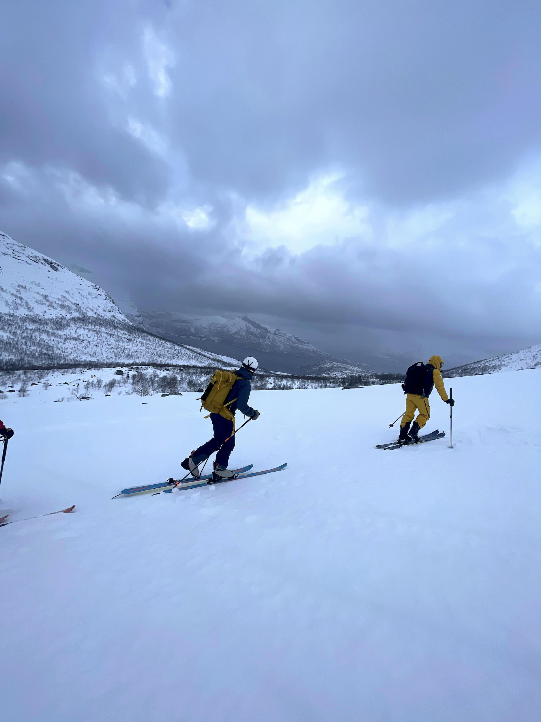 Fjord to Snowfield