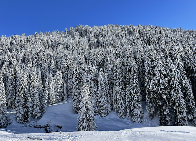 Le Grand-Bornand