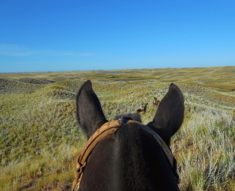Ride like a gaucho