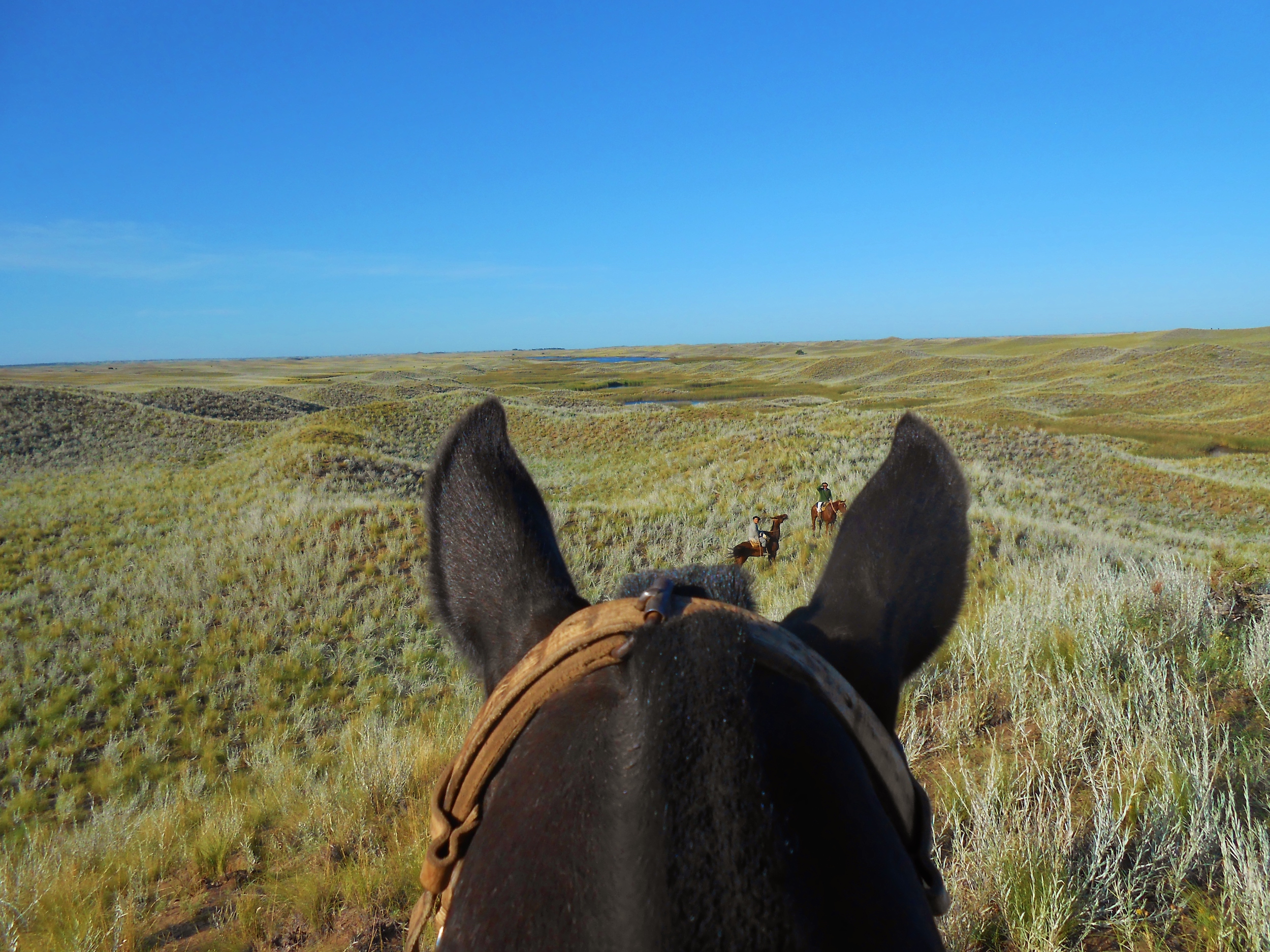 Ride like a gaucho