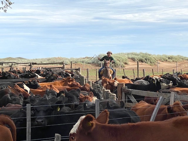 Ride like a gaucho