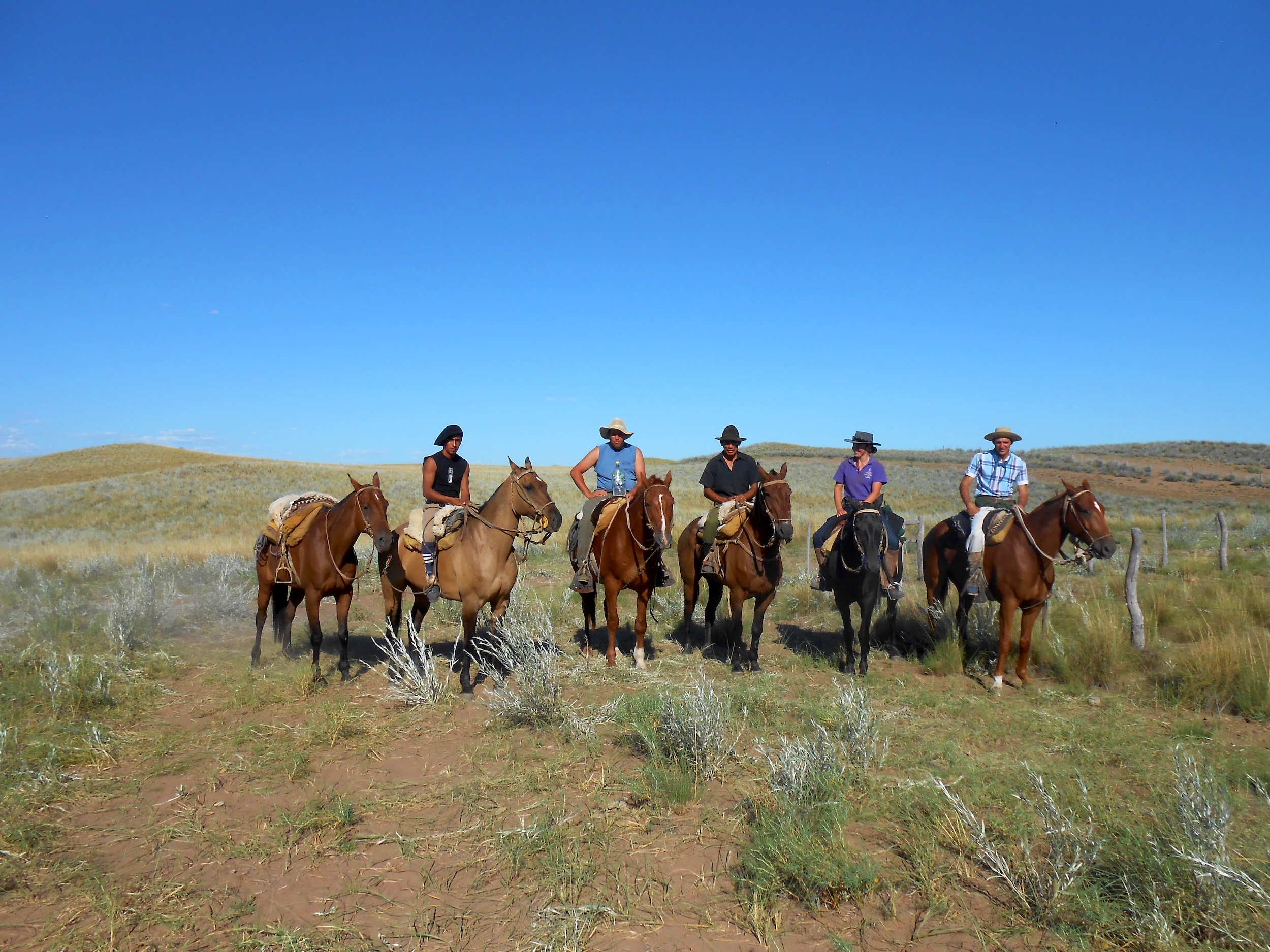 Ride like a gaucho