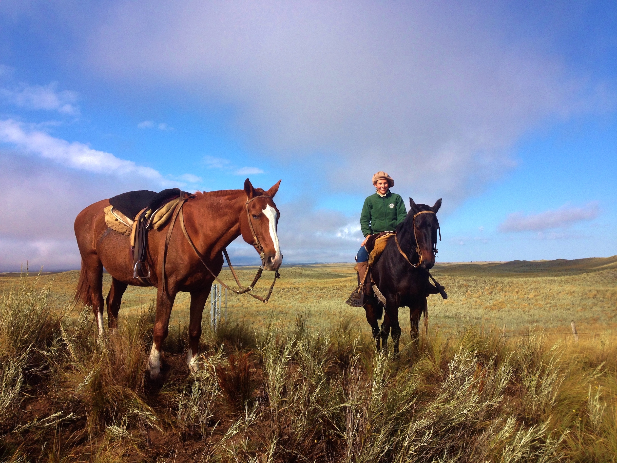 Ride like a gaucho