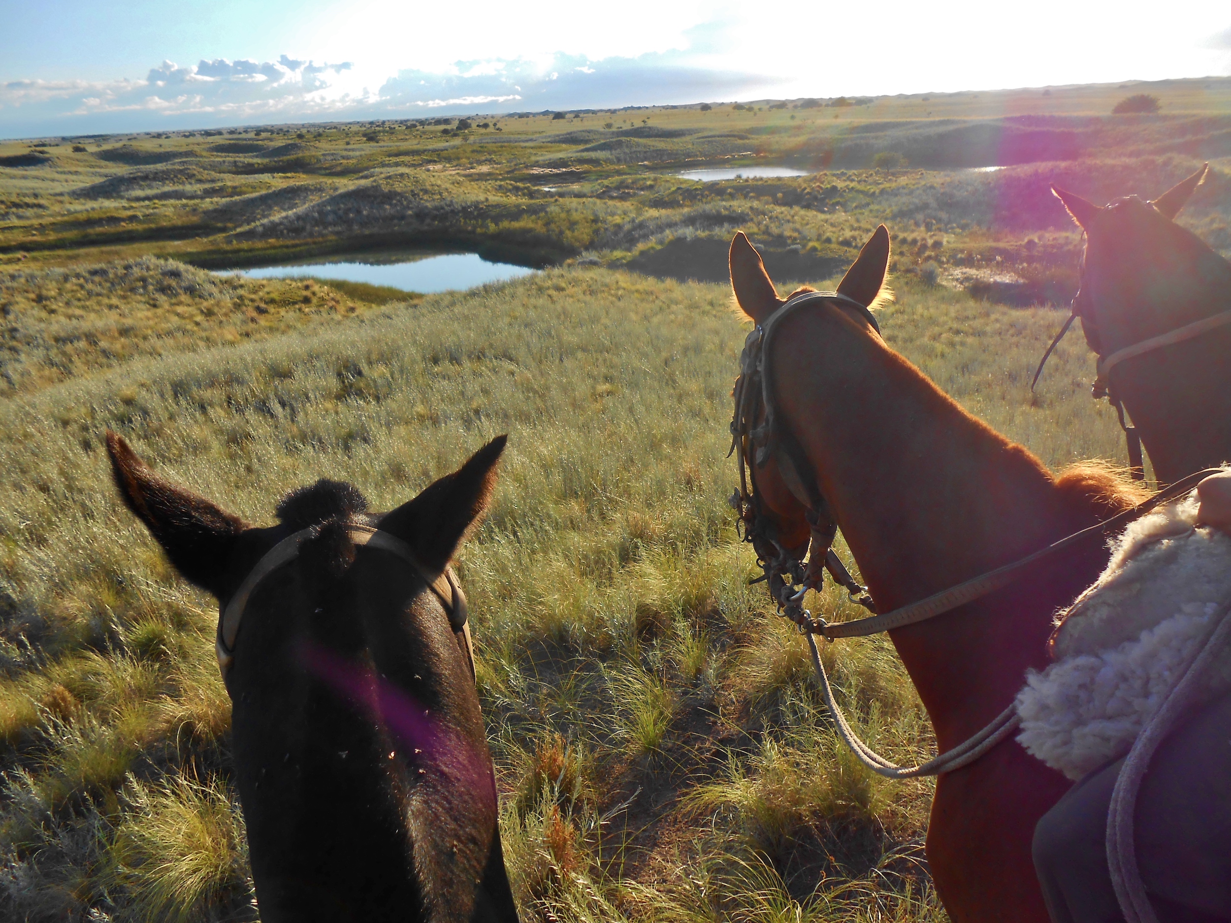 Ride like a gaucho